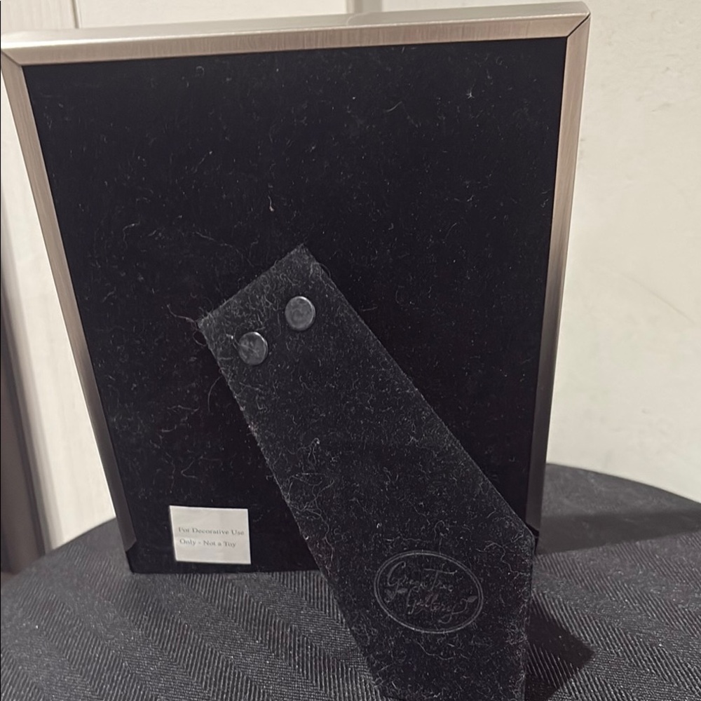 Silver Pet Frame - Picture 2 of 4